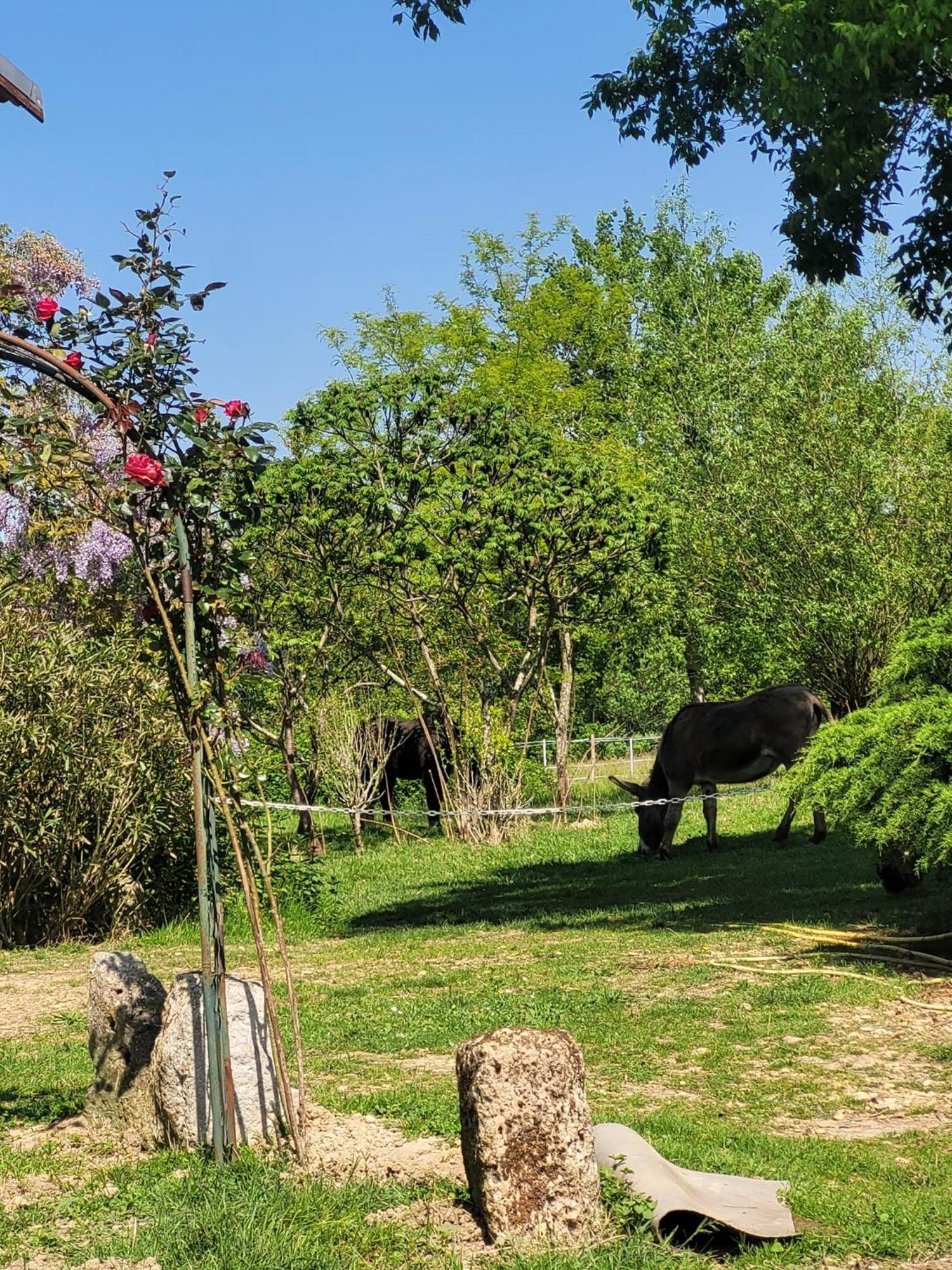 Pey Sud Gaua Bed & Breakfast Sistels Екстериор снимка